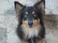 Boris