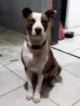Kiara