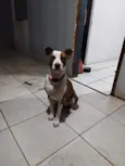 Kiara