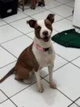 Kiara