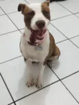 Kiara