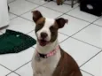 Kiara