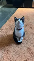 Linda,vitanni