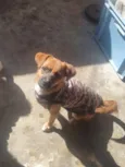 Docinho