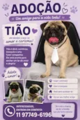 Tião