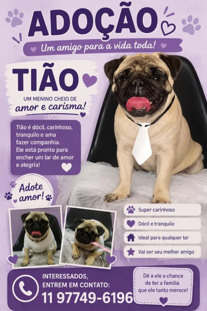 Cachorro raça SRD-ViraLata idade 4 anos nome Tião