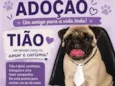 Tião