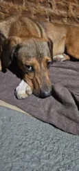 Nome Desconhecido 