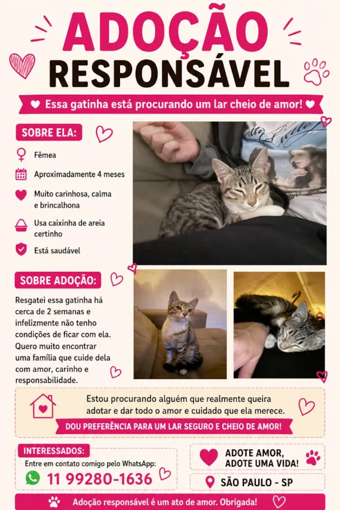 Gato raça SRD-ViraLata idade 2 a 6 meses nome Gata