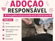 Gata