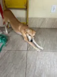 Kiara