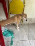 Kiara