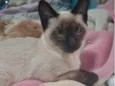Bianca