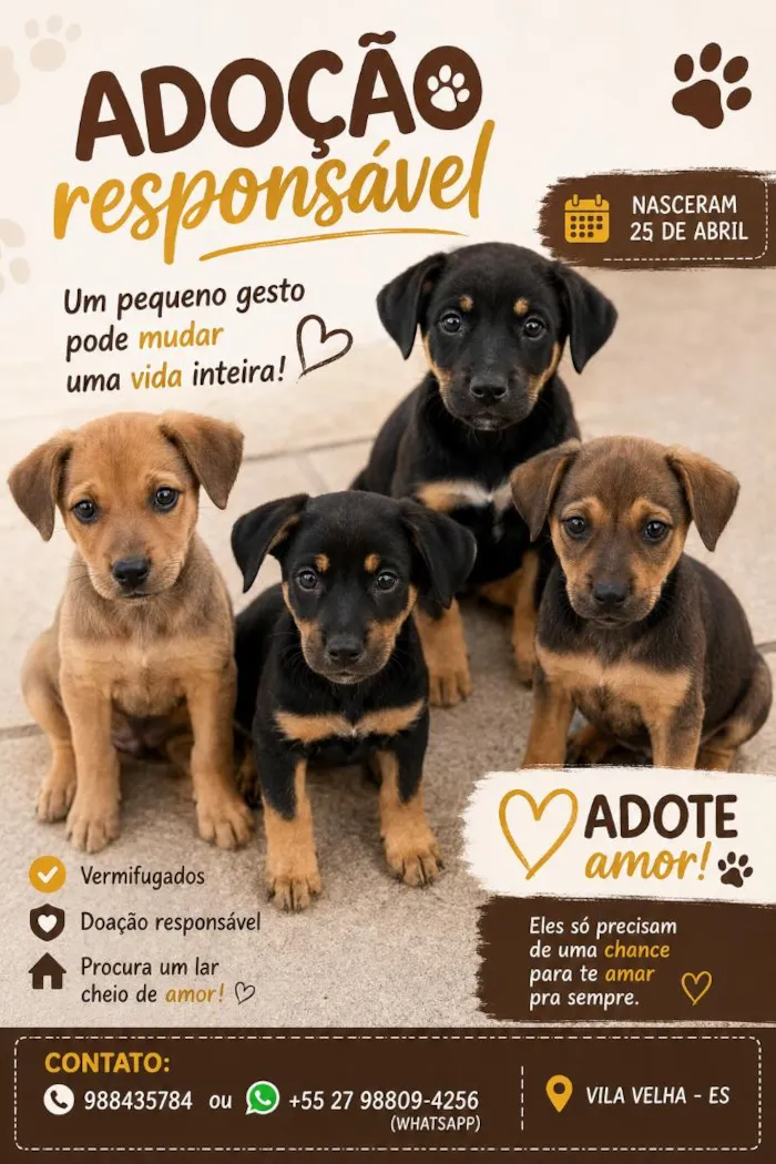 Cachorro raça SRD-ViraLata idade 7 a 11 meses nome não tem 