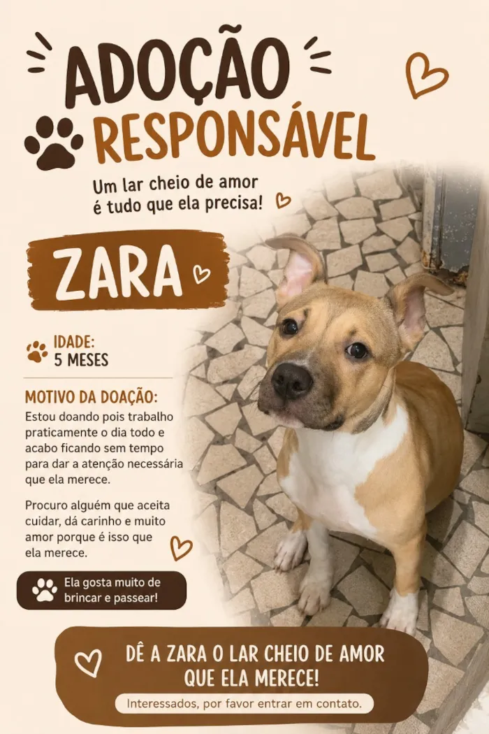 Cachorro raça Pit-Bull idade 2 a 6 meses nome Zara