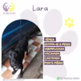 Lara