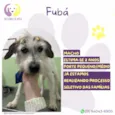 Fubá