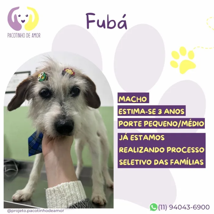 Cachorro raça SRD-ViraLata idade 3 anos nome Fubá