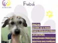 Fubá