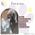 Florzinho