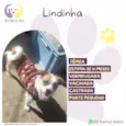Lindinha