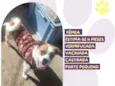 Lindinha