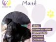 Maitê