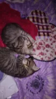 Luna e Lua