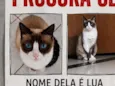 LUA