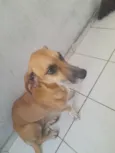 penélope 
