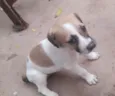 ?? 