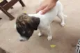 ?? 
