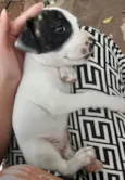 ?? 