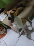 Luki