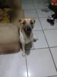 Luki