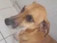 penélope 