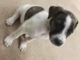 ?? 