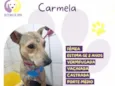 Carmela