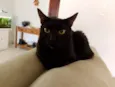 Lua 