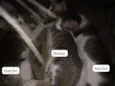 Ainda não tem nomes