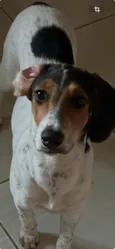 Branquinha