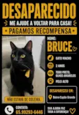 Bruce
