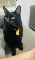 Bruce