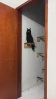 Bruce