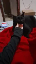 Mimo