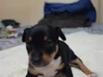 sem nome