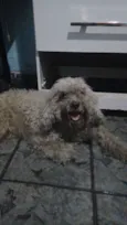 Samuel