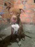 Kratos