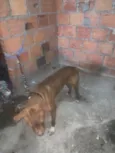 Kratos