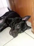 zeus jose armando mendoza 